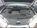 Lexus RX 2013 3.5 AT (�87) - ���������� ���������� � ������������� | �������� � ����������� 