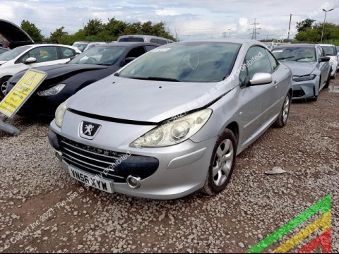 Peugeot 307 2.0 MT 2007 (36) -     |    